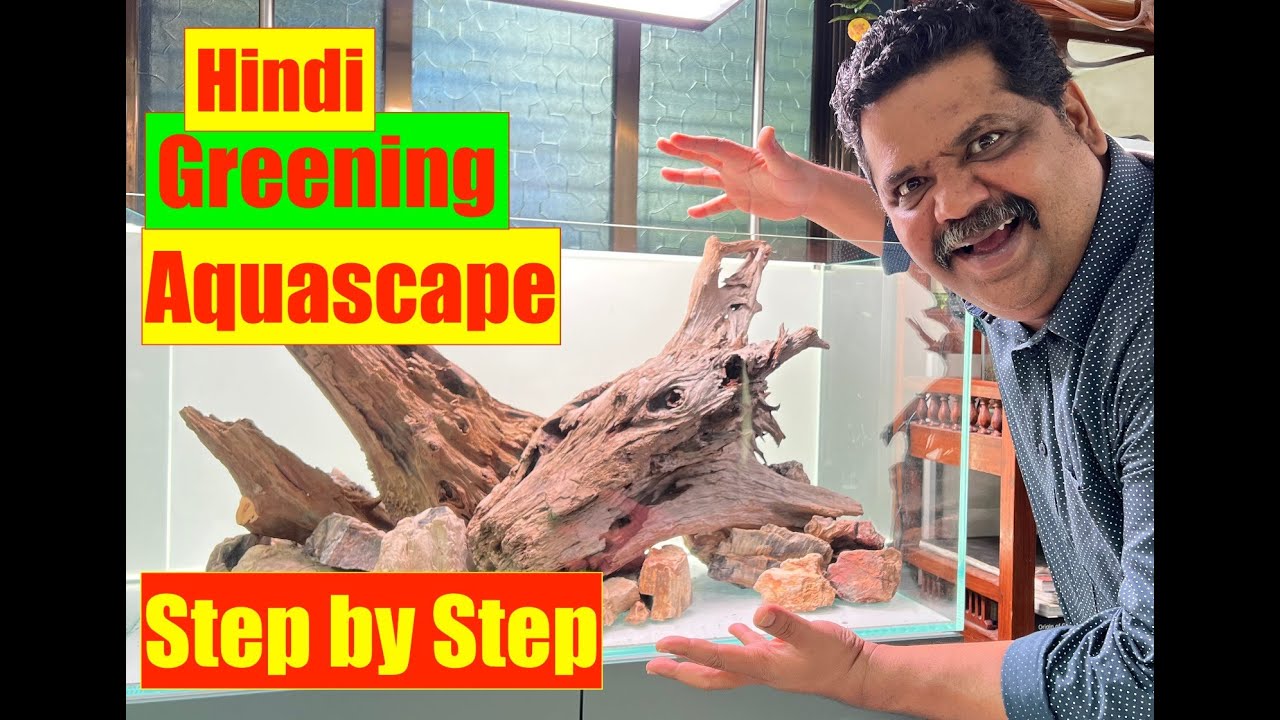 Greening Aquascape Tutorial | New Planted Aquarium | How To: Step By Step Planted Aquarium Guide 4K