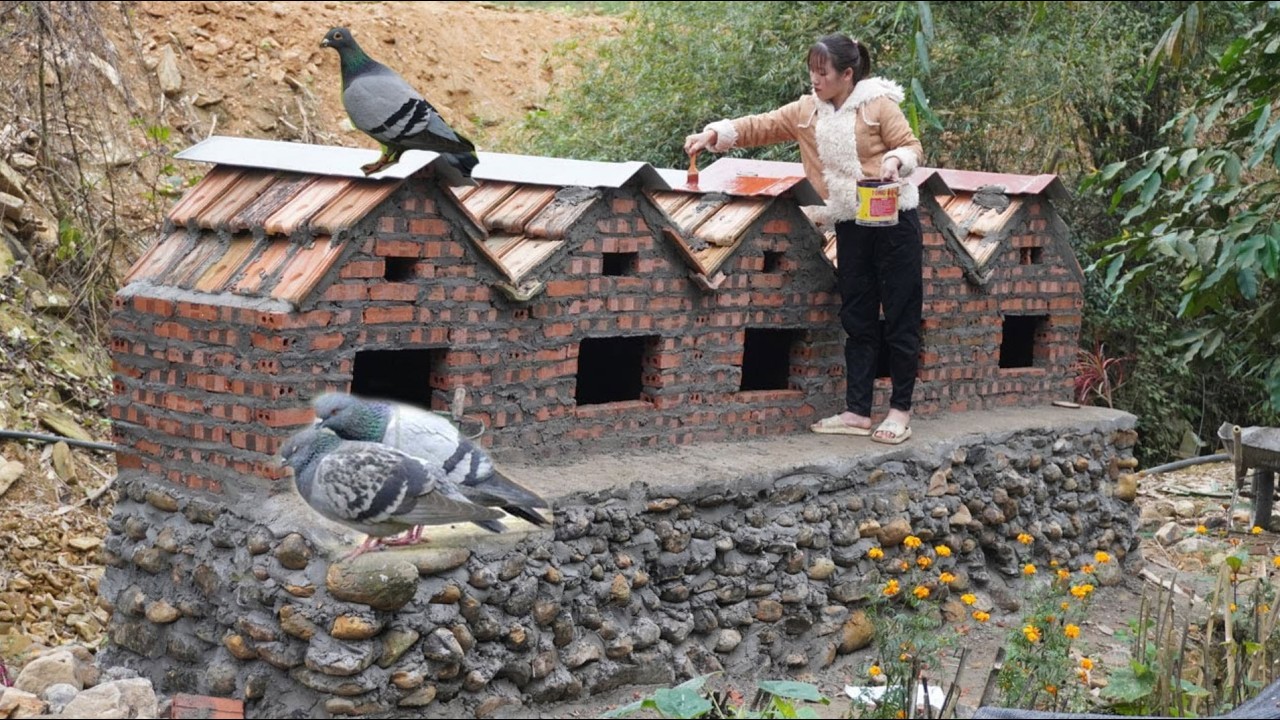 Talented Girl Build a bird house system - Building a brick house - Buy pigeons / Start to finish