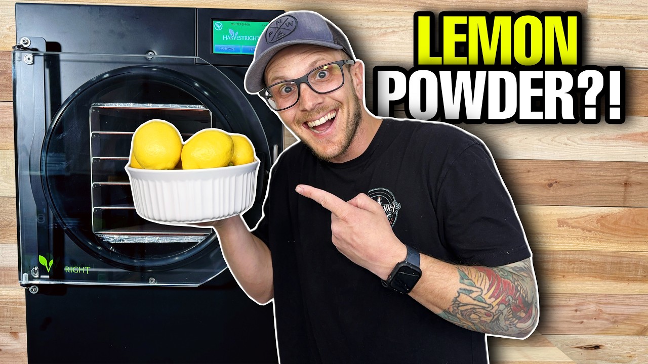 Freeze Dried Lemon Powder: The Secret Ingredient you NEED!