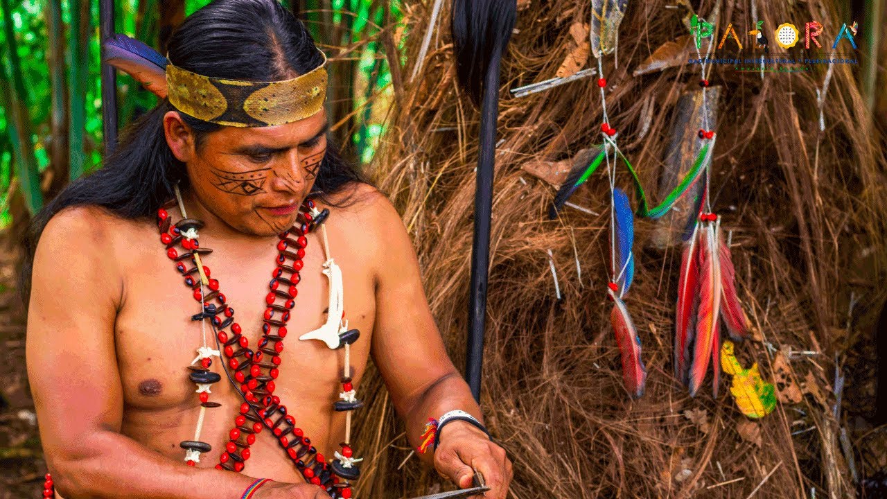 🌿✨ Comunidad Shuar Las Palmas – ¡Una experiencia cultural única! 🏞️🔥