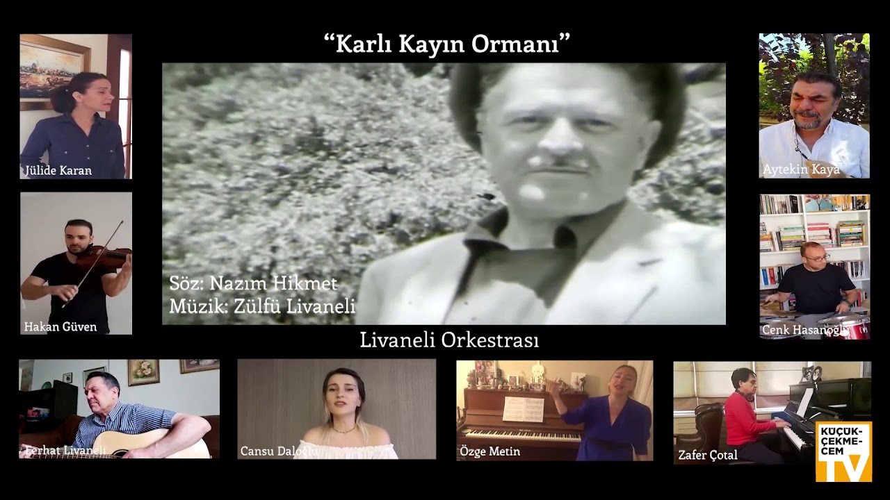 Livaneli Orkestrası - Karlı Kayın Ormanında