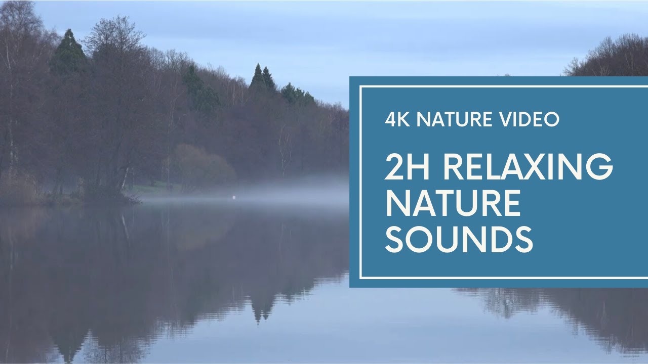 (4K) 2 Hours Relaxing Nature Sounds - Br&uuml;ckweiher, Germany