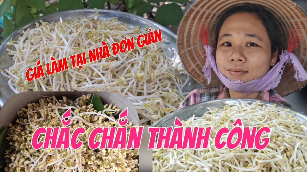 Làm Giá Đơn Giản Tại Nhà - Lần Đầu Tiên Thành Công Luôn | kiều diễm 