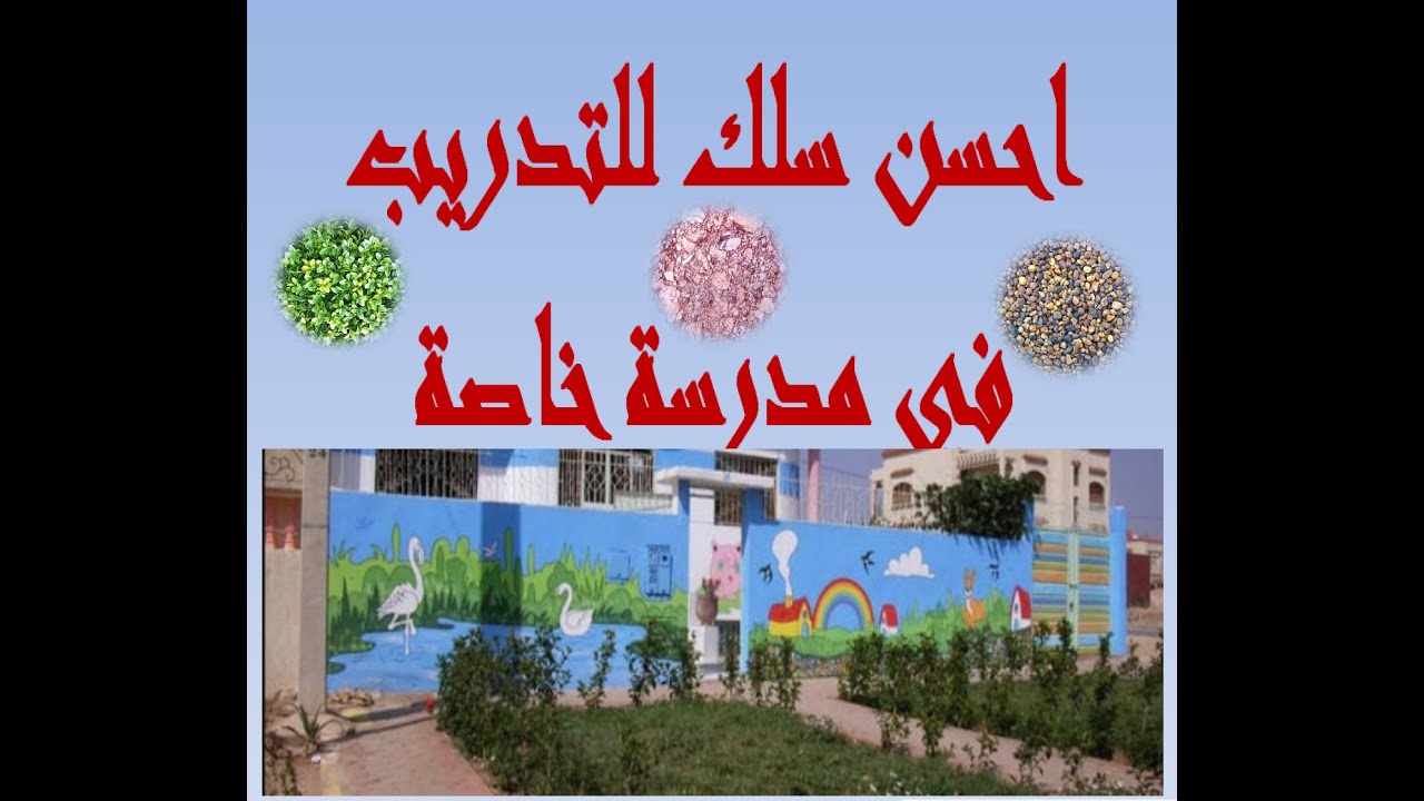 احسن سلك للتدريب في مدرسة خاصة