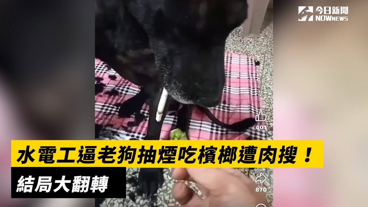 水電工逼老狗抽煙吃檳榔遭肉搜！結局大翻轉｜NOWnews