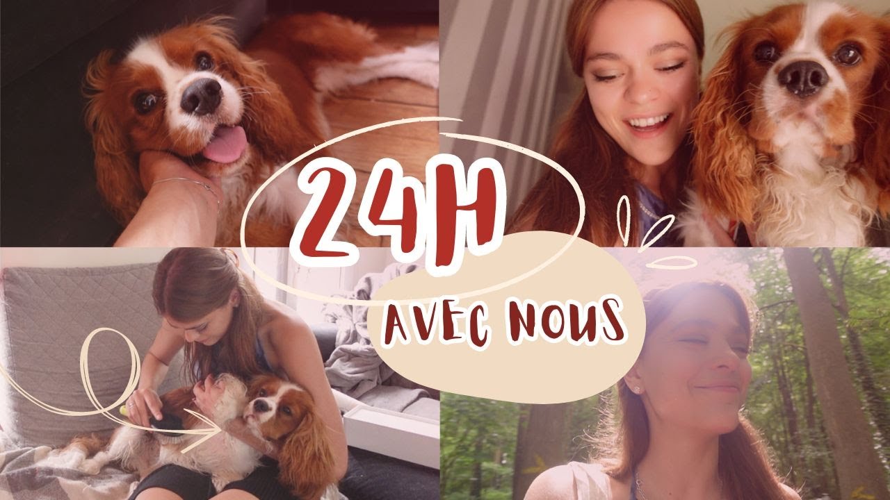 VLOG : EVOLUTION DE MON CHIOT - 6 MOIS APRÈS
