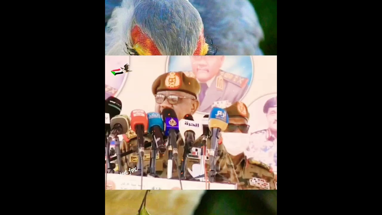 Commander Mohamed Hamdan Daglo