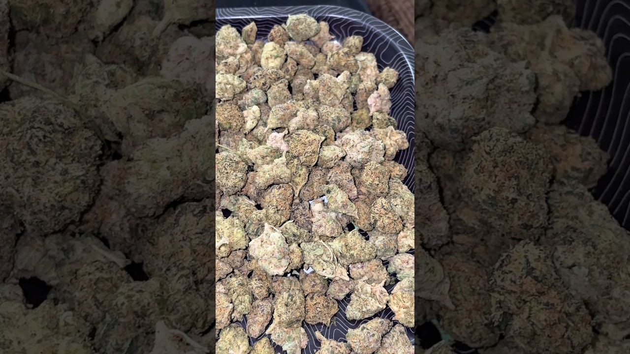 $60 Purple Label Smalls от JK Distro #zaza #viral #fypシ゚viral #fypシ #420 #jkdistro #420community