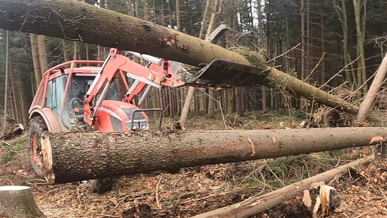 To nejhorší je za náma🌲🚜, teď už to bude sranda 🌲🎻🤗 561-2024