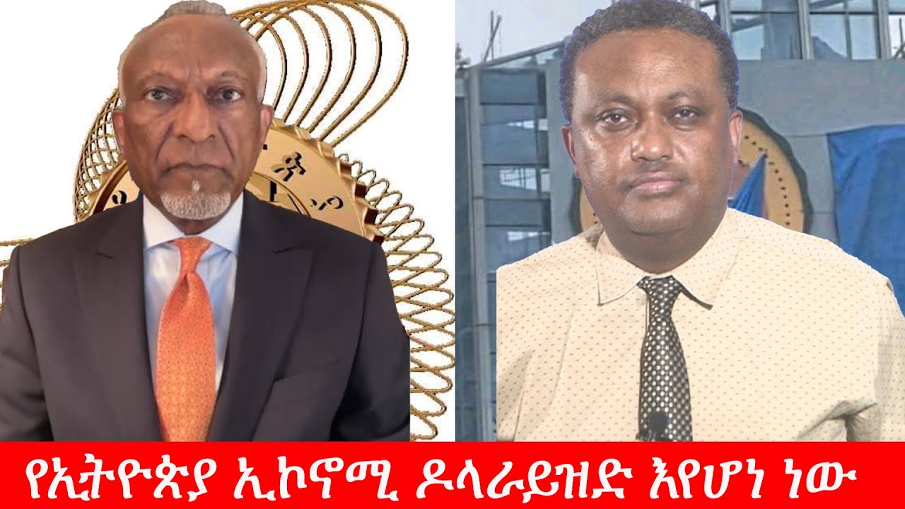 Anchor Media ''የኢትዮጵያ ኢኮኖሚ ዶላራይዝድ እየሆነ ነው። ገበሬው ብርን ትቶ ስለዶላር ማሰብ ግድ ይለዋል'' ፕ/ር ተሾመ አበበ