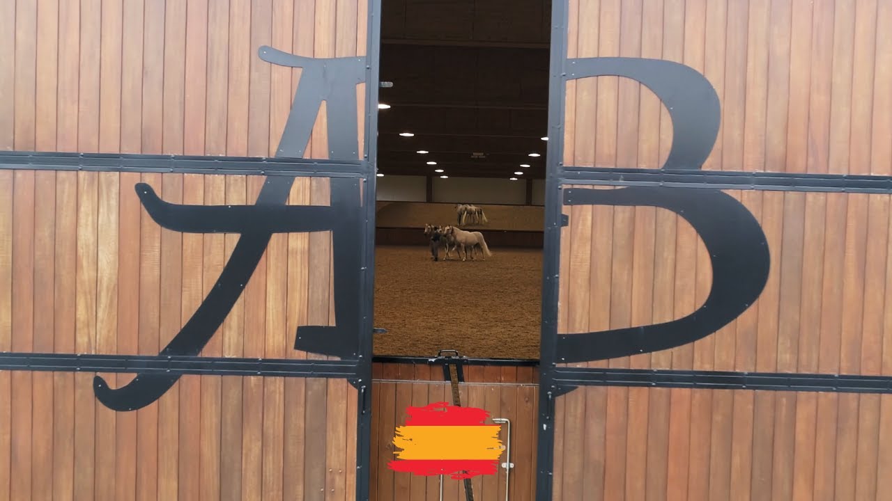 YEGUADA ALBERTO BOYA EQUIPO CABALLOS ESPAÑOLES SICAB 2017 (ESPAÑA)
