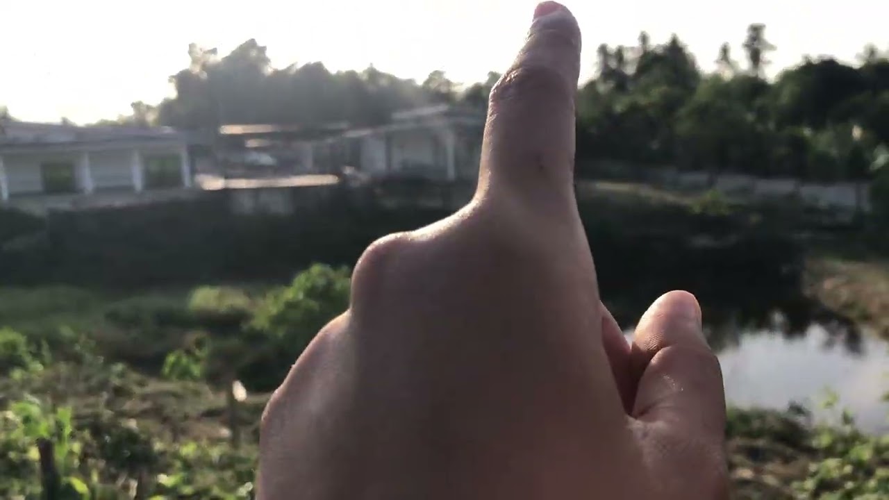 AFTER VIEW ON OUR LITTLE FARM IN THE PHILIPPINES? Expat Philippines 