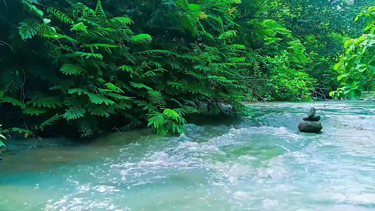 Live River Sounds 24/7 🌊 | Relaxing Nature Ambience for Sleep, Study, Meditation & Stress Relief