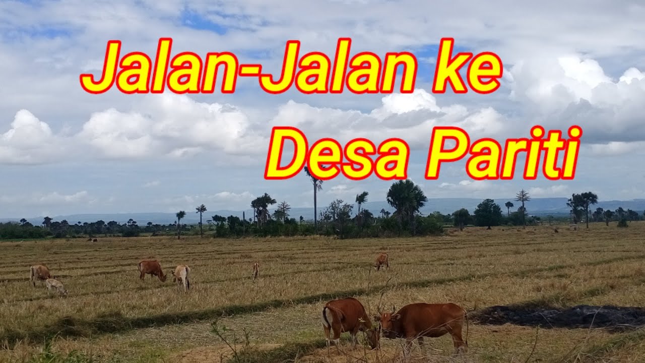 Perjalanan Menuju Desa Pariti || Aliran Irama