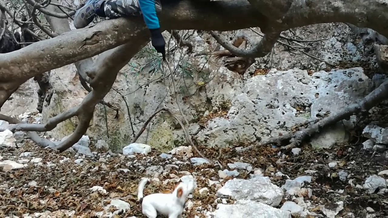CALA MUDALORU & SCALONE URELE