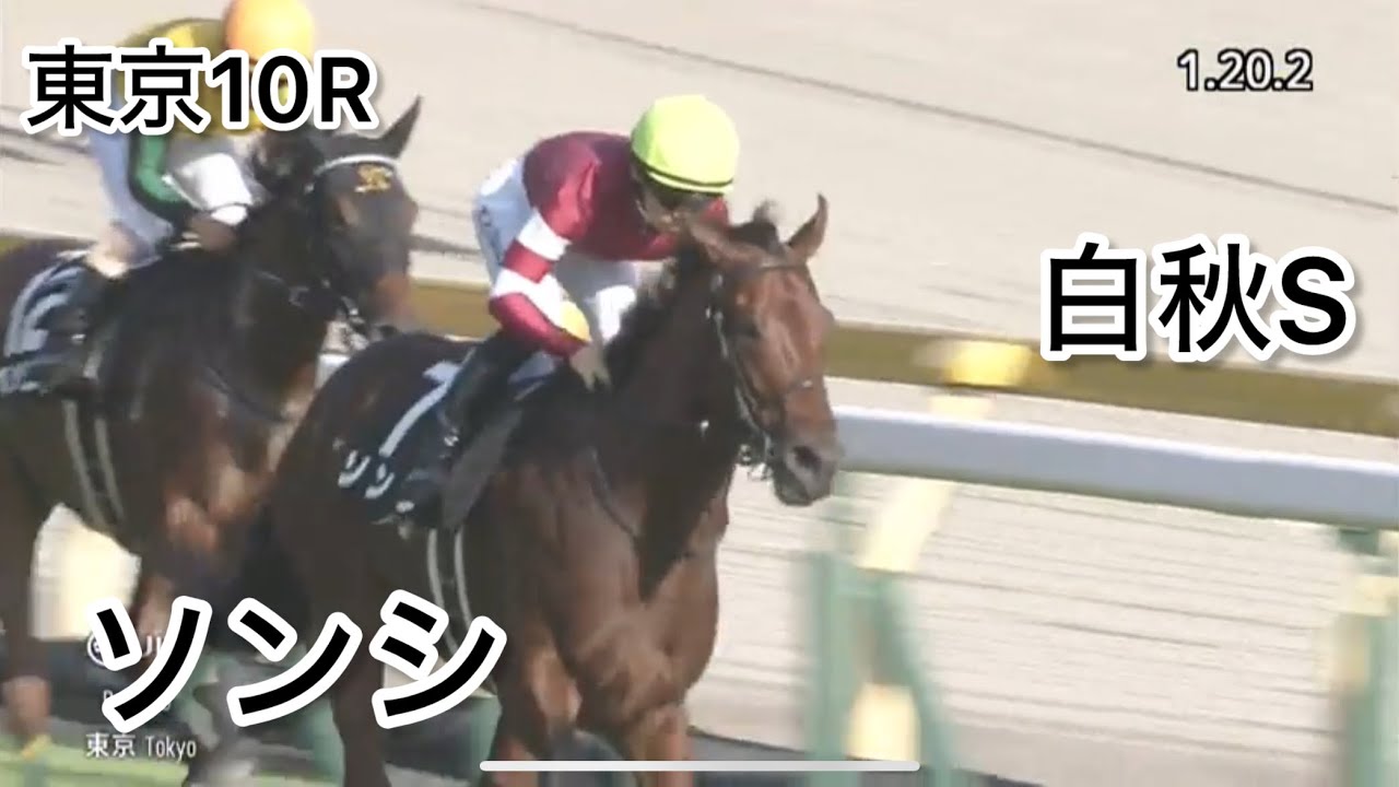 【F馬】トップハンデのソンシがノーステッキで白秋Sを快勝！