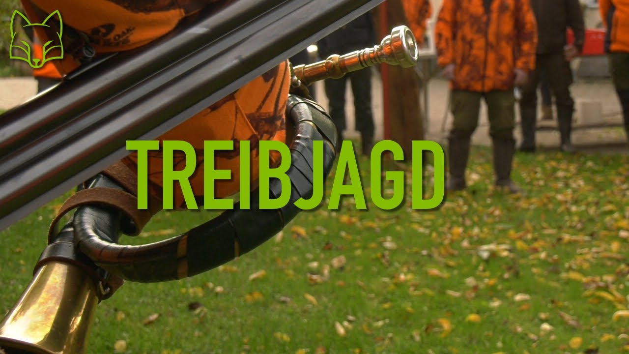 Treibjagd auf Niederwild in Bayern