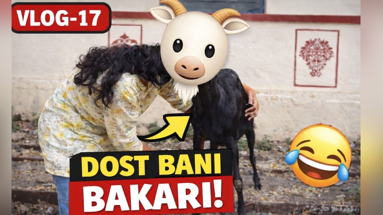 Dost Bani Bakari 🐐🤣| vlog-17| 30 days vlog challenge ✨| jaao fata fat mood fresh kro 