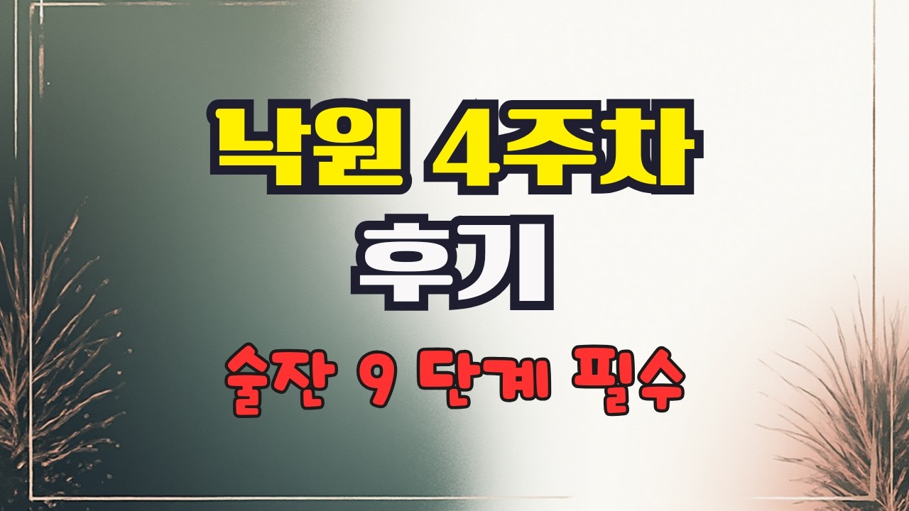 낙원 4주차 l 스킬 코드 중요하지 않다  무조건 술잔 9단계가 핵심