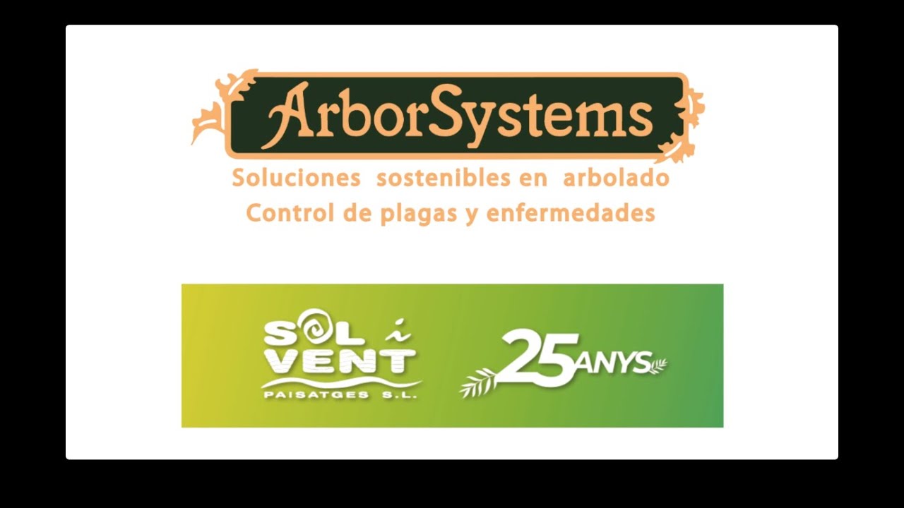 Endoterapia sin taladro: Evolución de Arborsystems
