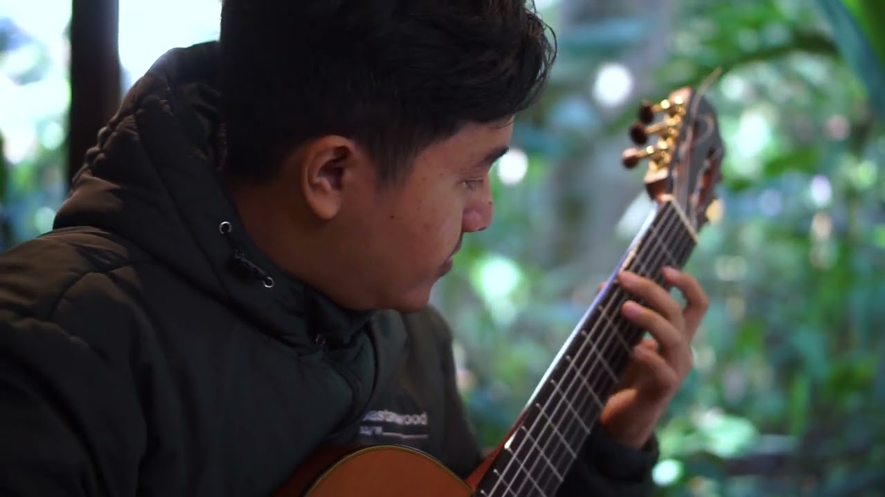 Harpy 1 (Stronghold 2 Soundtrack) Classical Guitar
