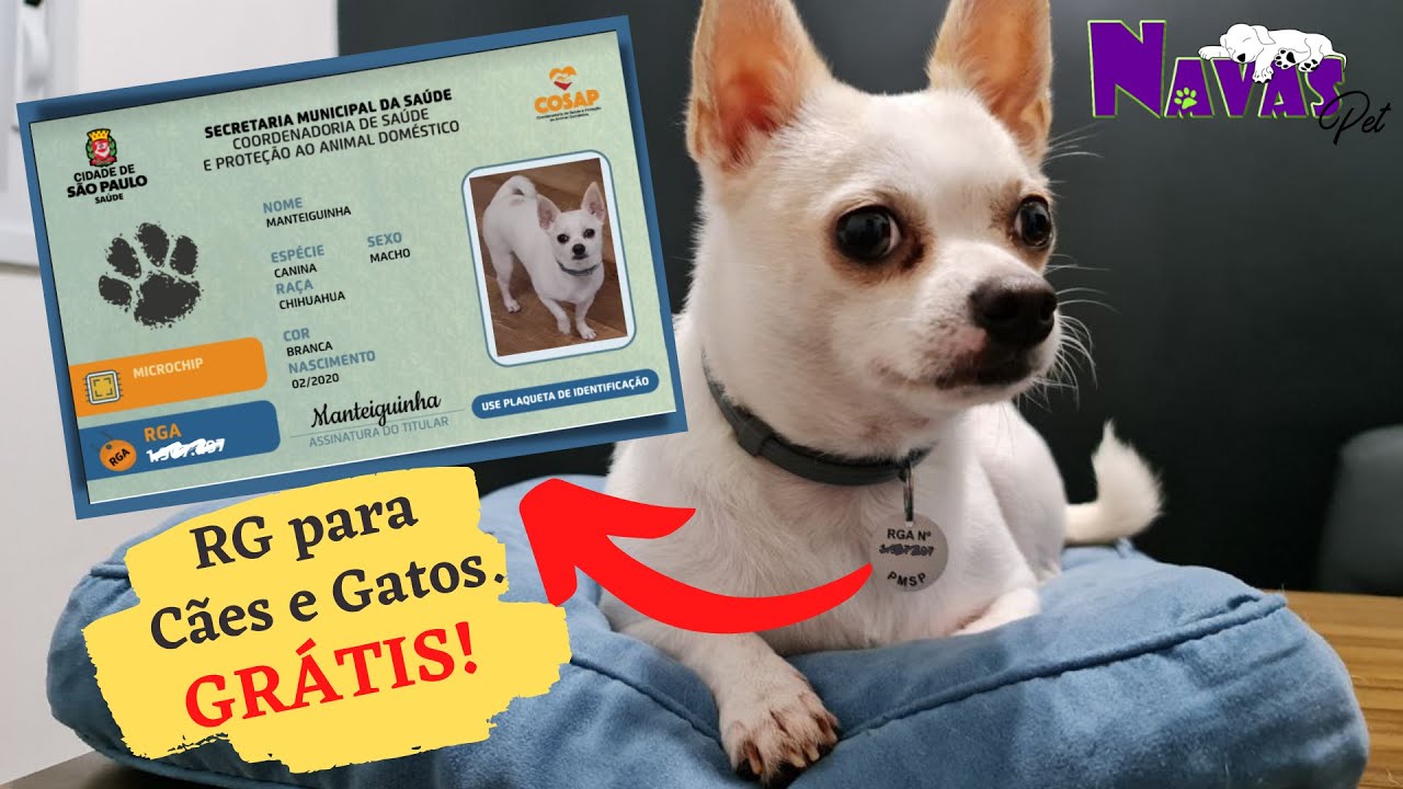 RG para Cães e Gatos GRÁTIS! Faça agora mesmo pela Internet! (RGA - Registro Geral do Animal)