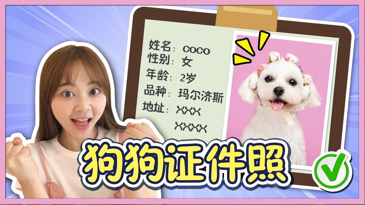 狗狗也可以照證件照？coco能乖乖聽話嗎？小伶玩具 | Xiaoling toys