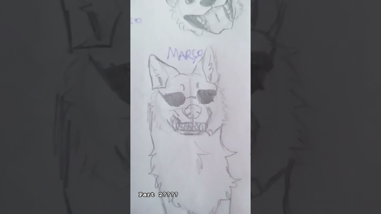 you month your dog 