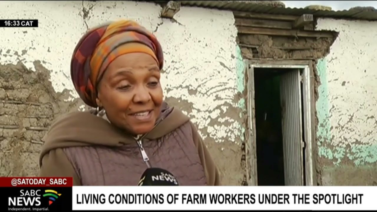 Living conditions of farm workers under the spotlight