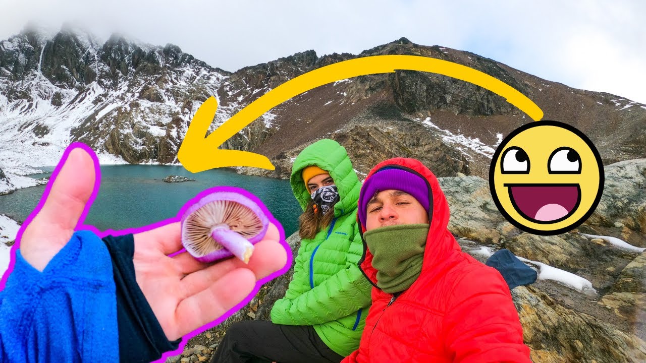COSECHANDO HONGOS 🍄 EN USHUAIA 🏔 LAGUNA DE LOS CINCO HERMANOS 📍