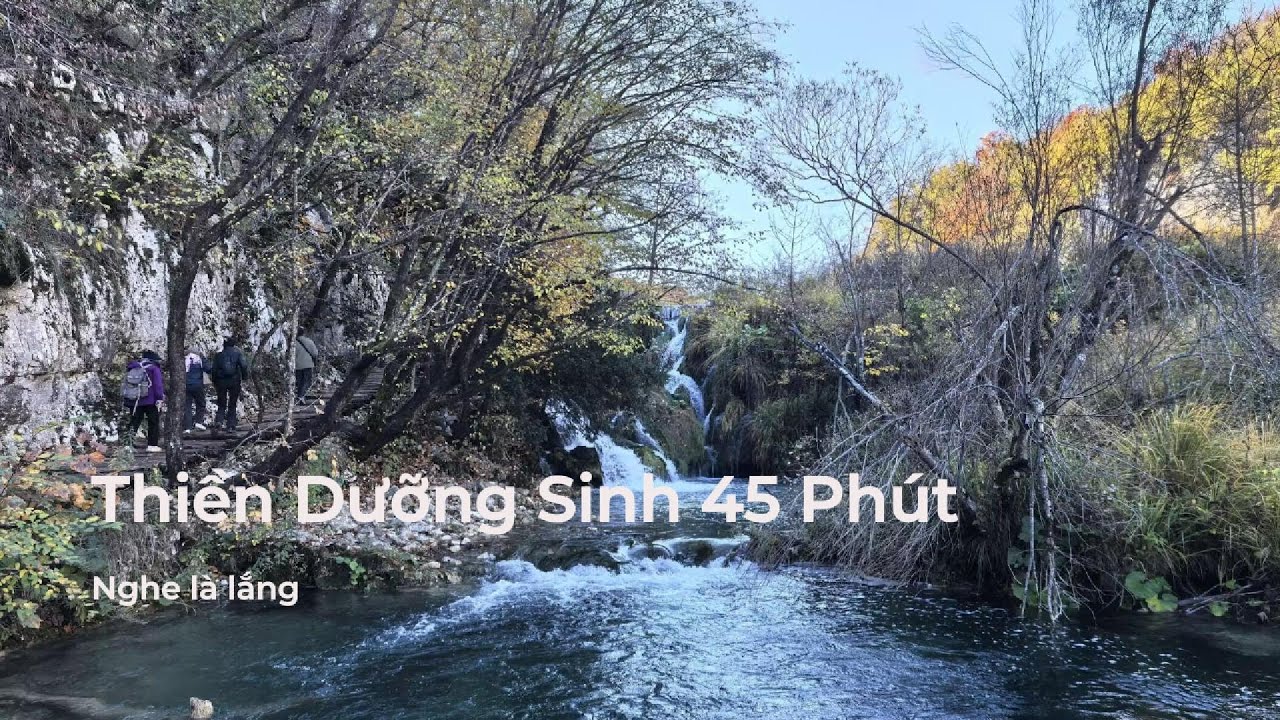 Thiền Dưỡng Sinh 45 Phút | Nghe Là Lắng – An Trú Thân Tâm