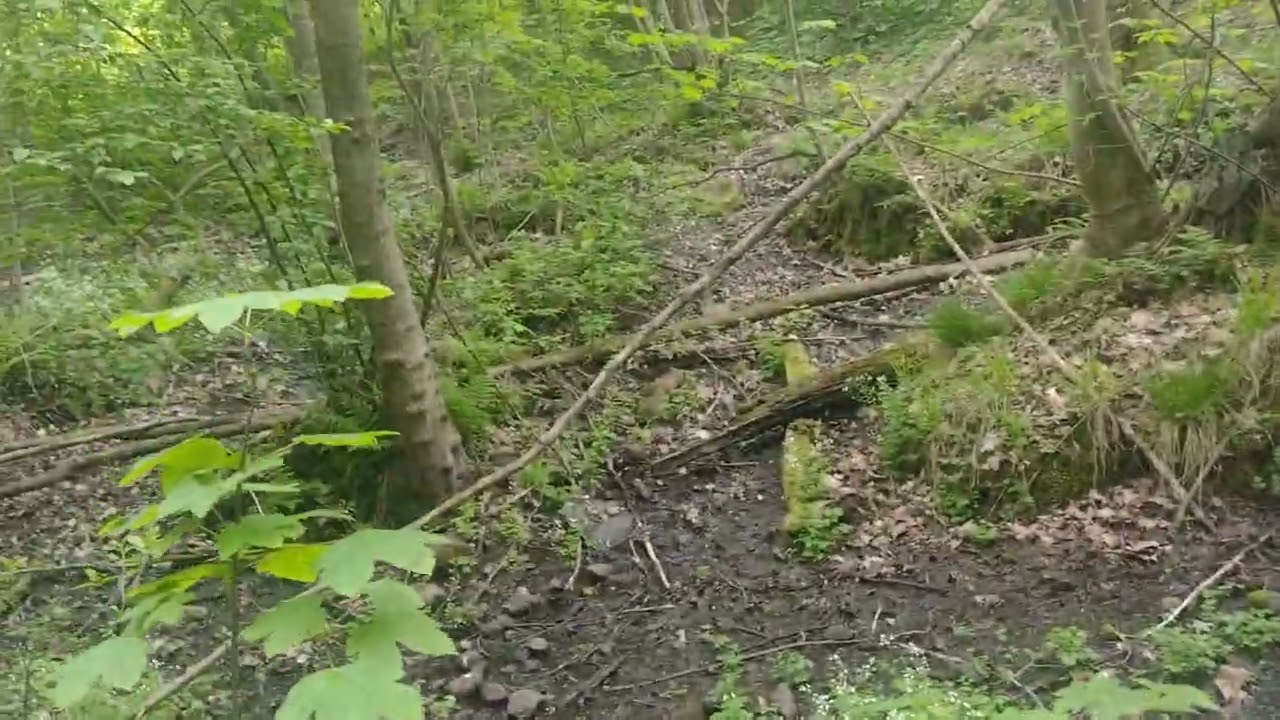 Seeking the source of the Śląska Ochla