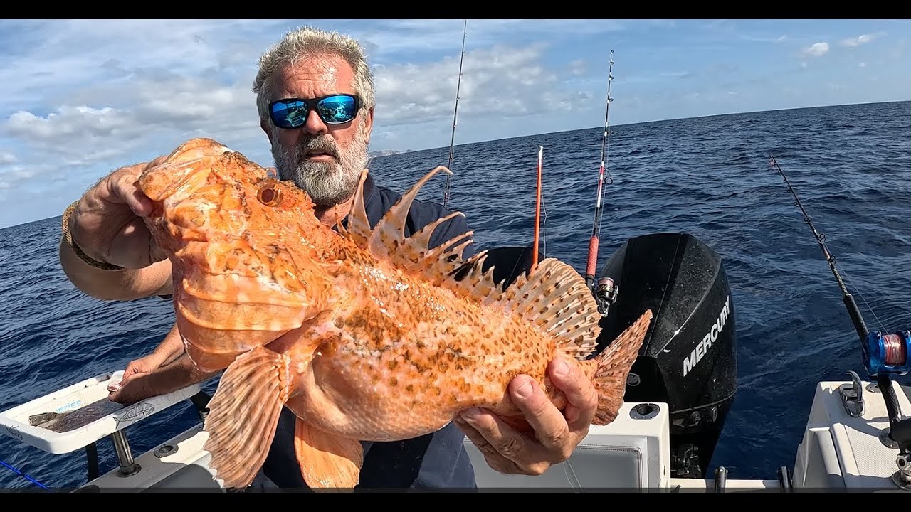 Jornada espectacular  PESCA DE MEDIO FONDO