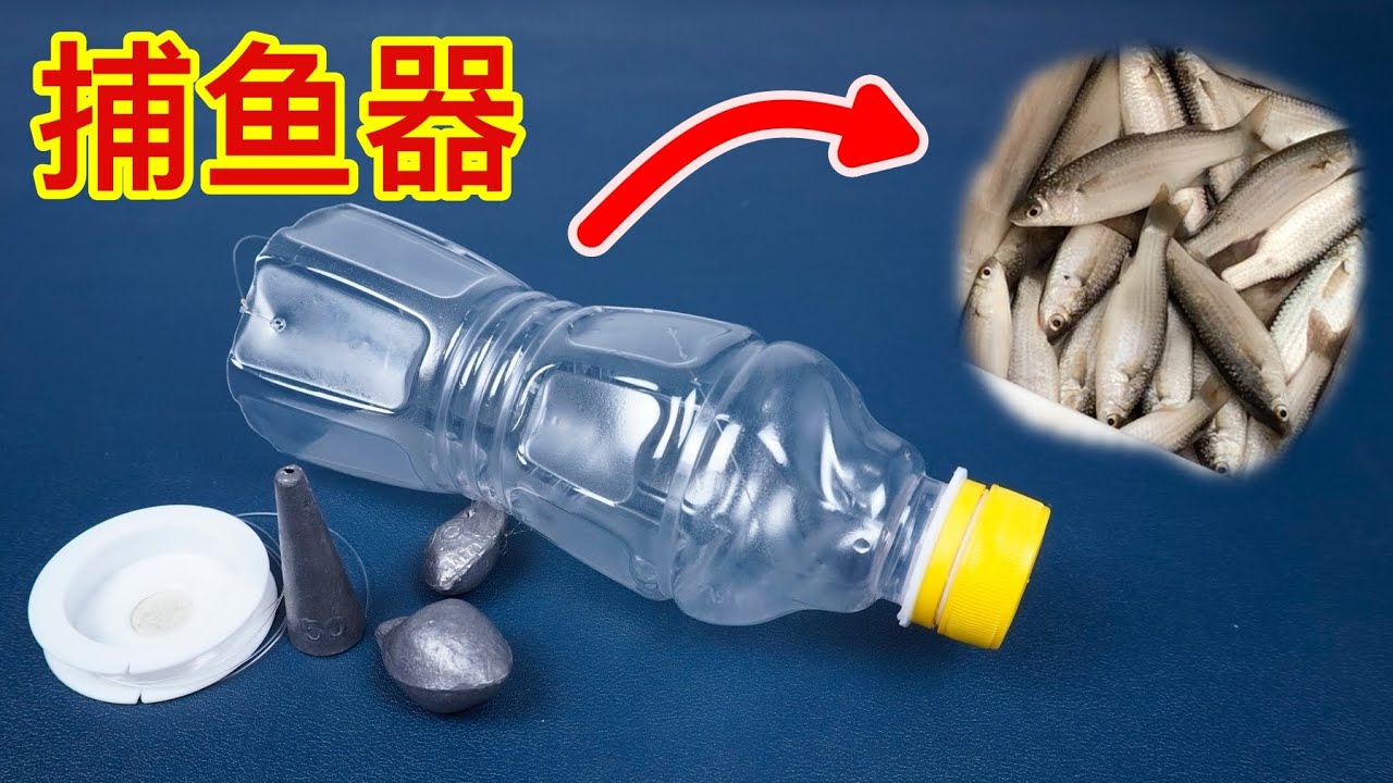 用塑料瓶制作陷阱抓鱼，既简单又方便，捕鱼效果真不错.