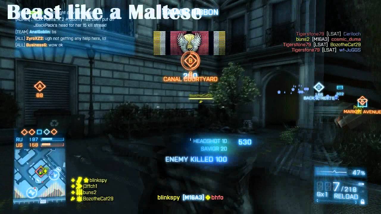 Battlefield 3 Teamwork Gameplay - Battlefield 3 BEASTING IT LIKE A MALTESE [HD] BF3 Gameplay