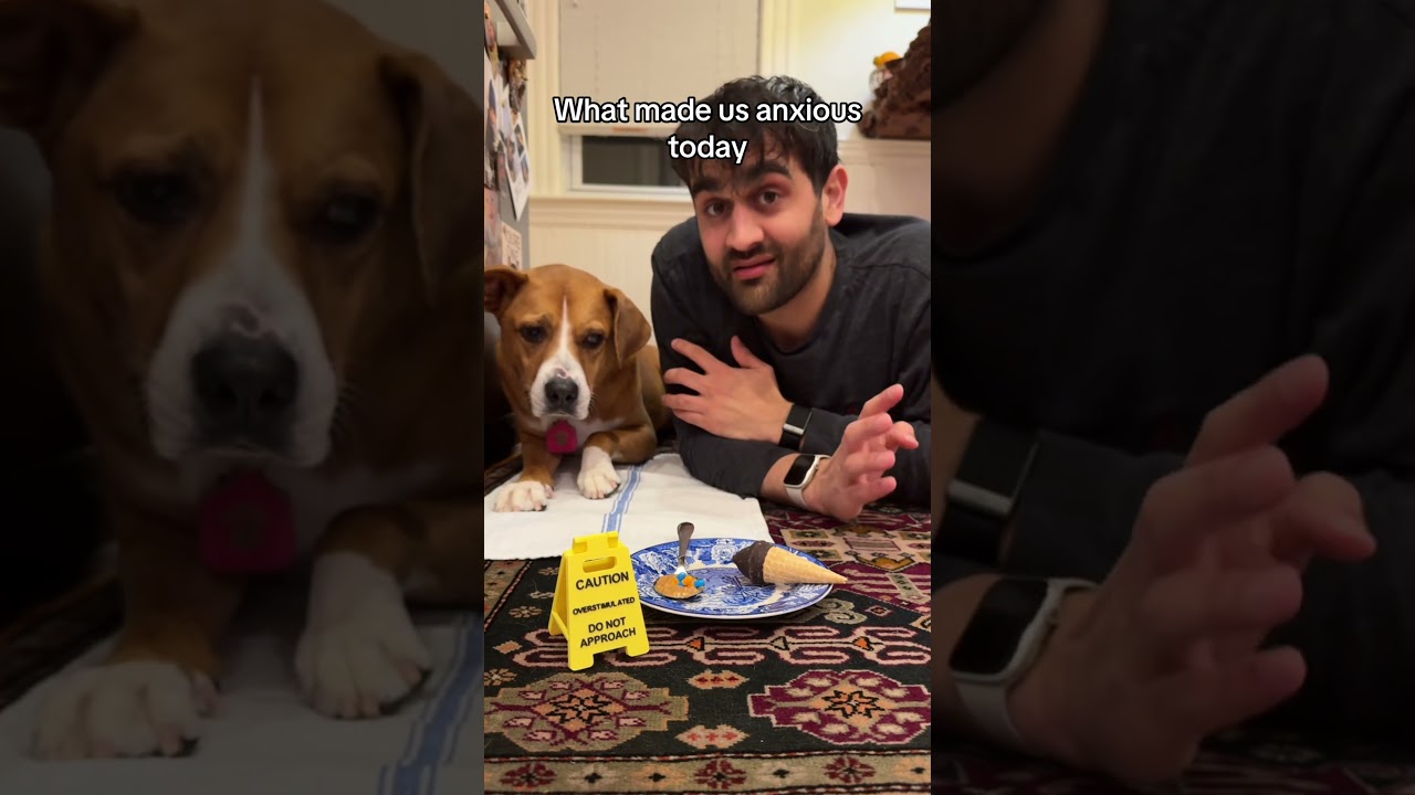 Cammie uwielbia smak śniegu #zdrowiepsychiczne #lęk