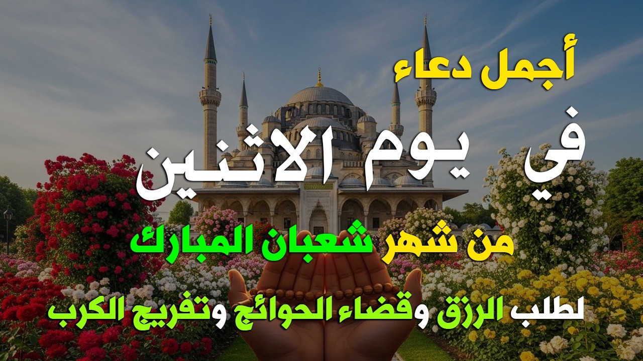 دعاء فى يوم الاثنين المستجاب دعاء في يوم 21 من شهر شعبان للرزق والشفاء العاجل وقضاء الحوائج 🤲(4k)