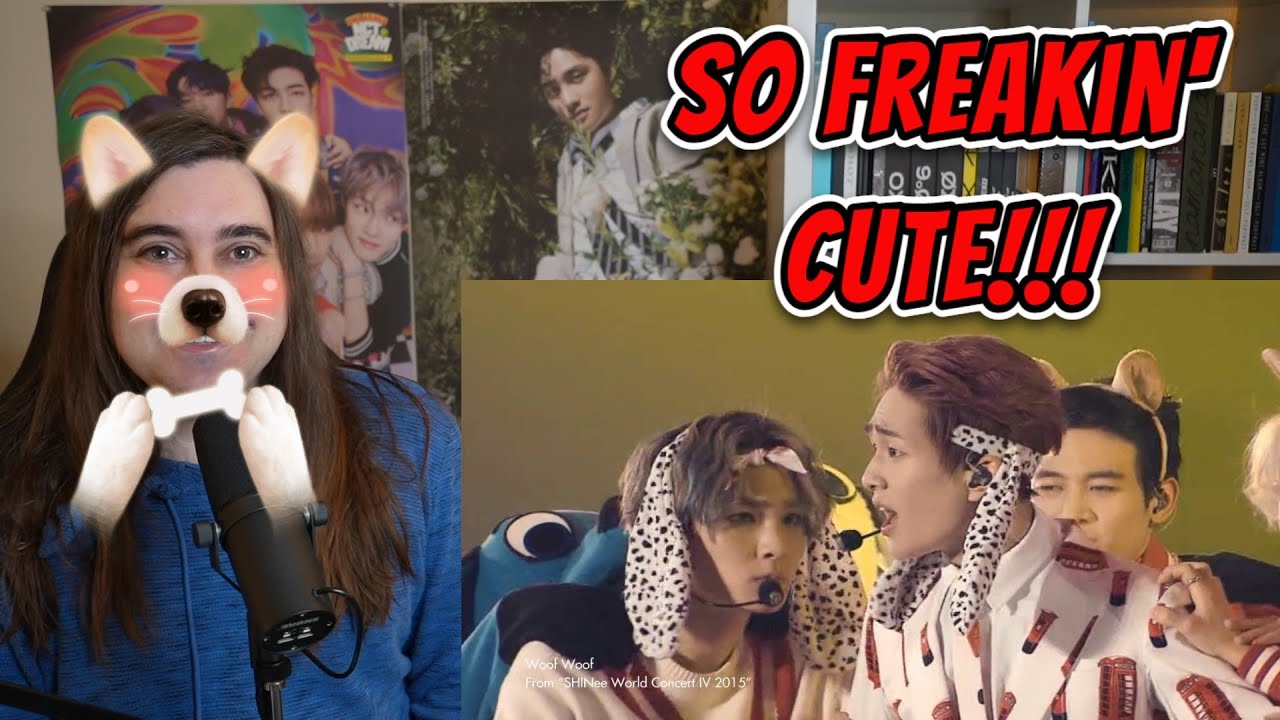 This live stage is SO CUTE!  Reacting to SHINee - Woof Woof!