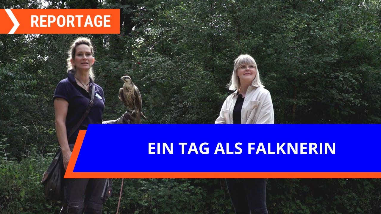 Zu Besuch im Wildpark M&uuml;den: Ein Tag als Falknerin | FINK.HAMBURG