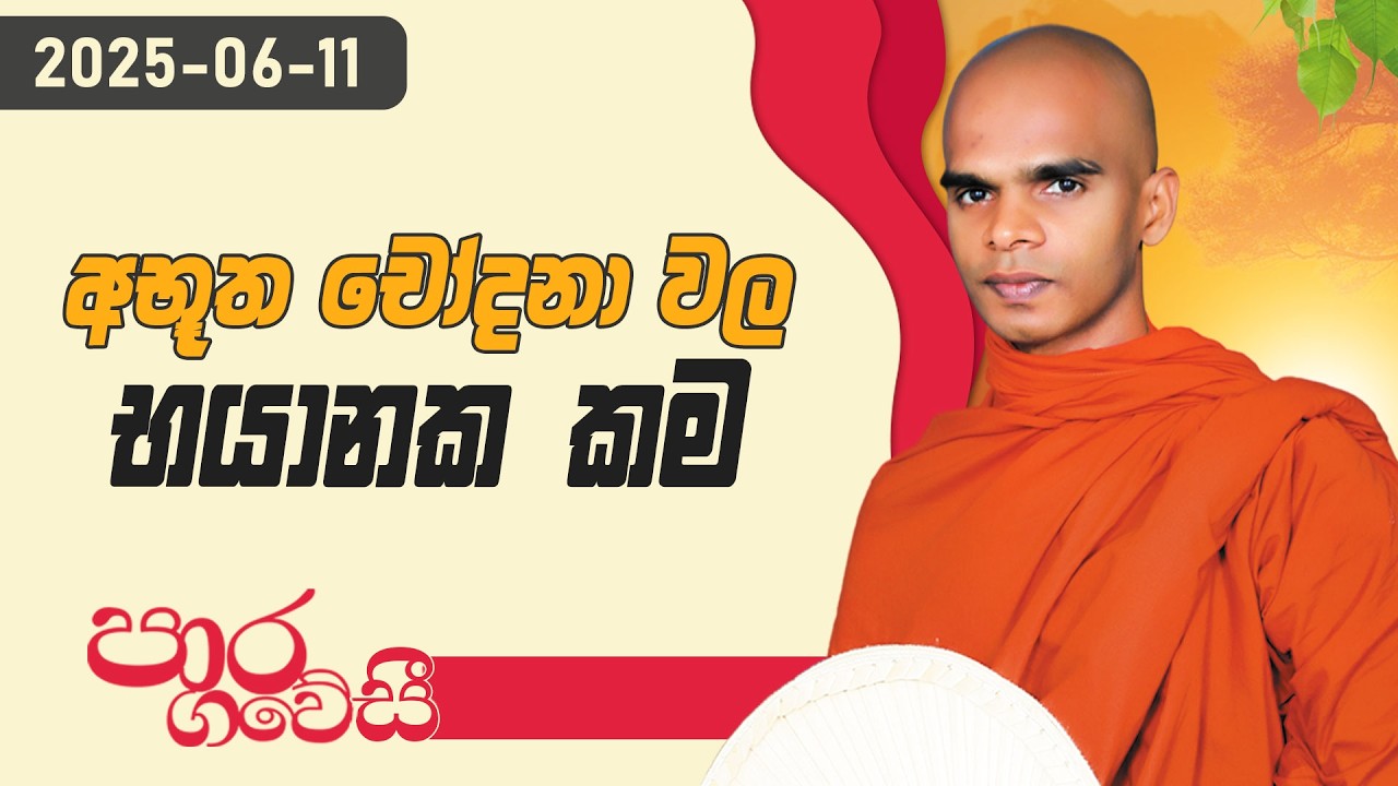 අභුත චෝදනා වල භයානක කම | පාර ගවේසී දේශනා මාලාව | 2025.06.11