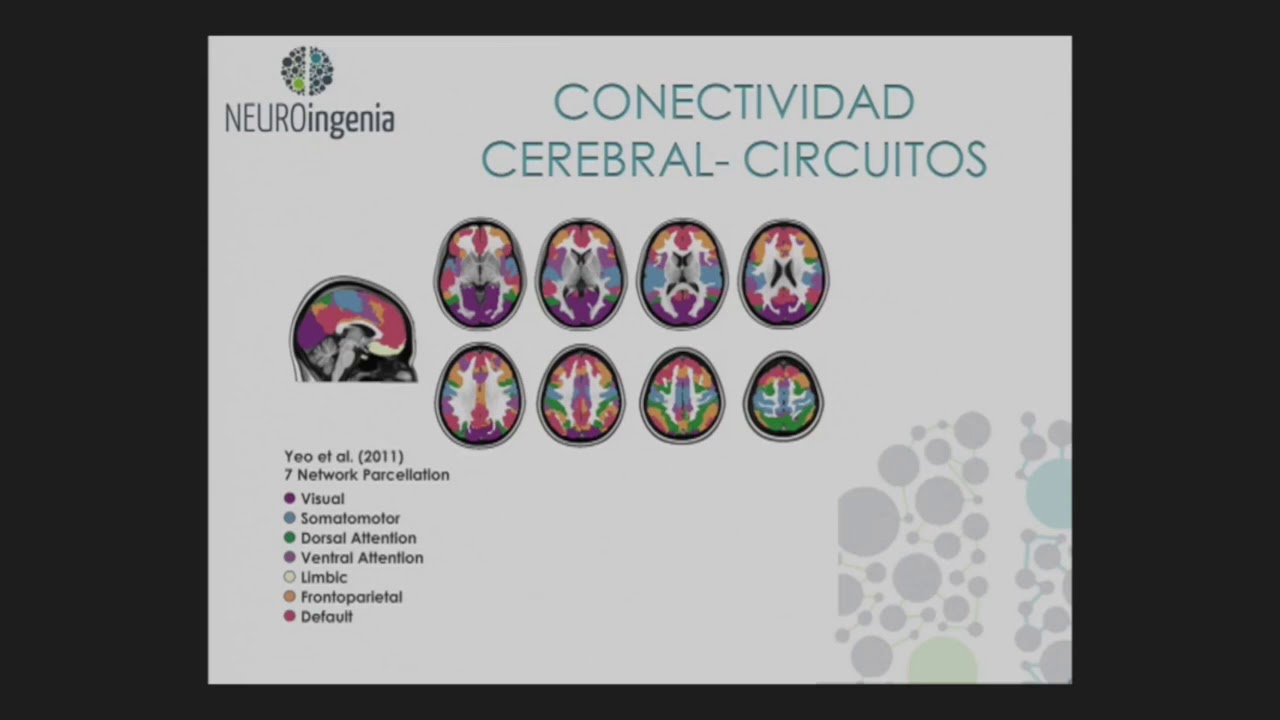 Circuitos cerebrales en Trastorno por De cit de Atención e Hiperactividad a lo largo de la vida