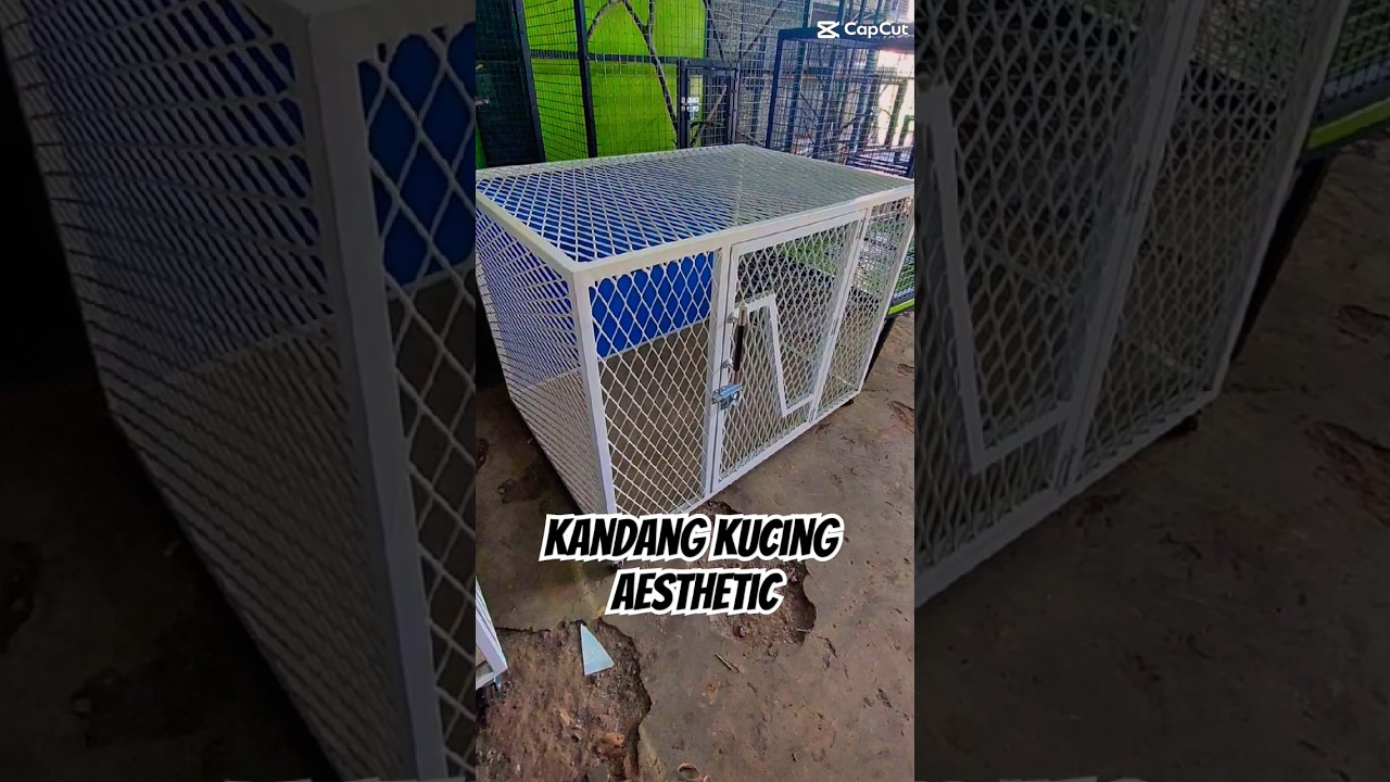 kandang kucing aesthetic 😍 #kucing #kandangkucing #aesthetic #kandangkucingmurah #kandangsimpel