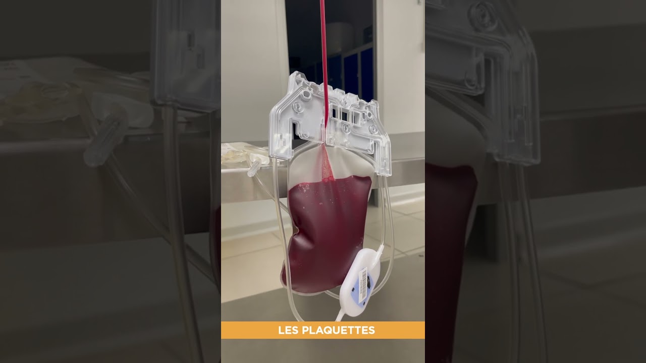 Que devient ma poche de sang après mon don ?