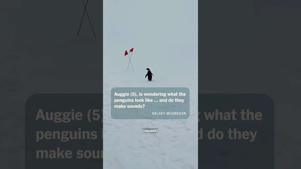 What Does Antarctica Sound Like? And More | Journey to Antarctica: Part 14