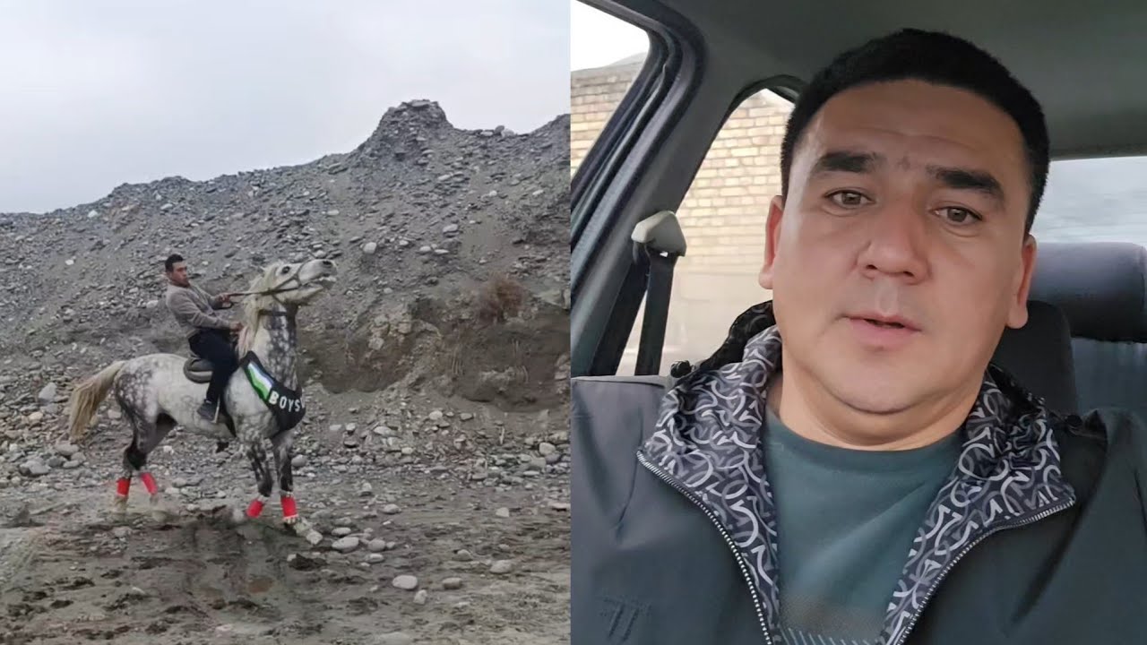 БОЙСУН ОТ СОТИЛАДИ.. САМАРКАНД УРГУТ..#horse #rek #otbozor 