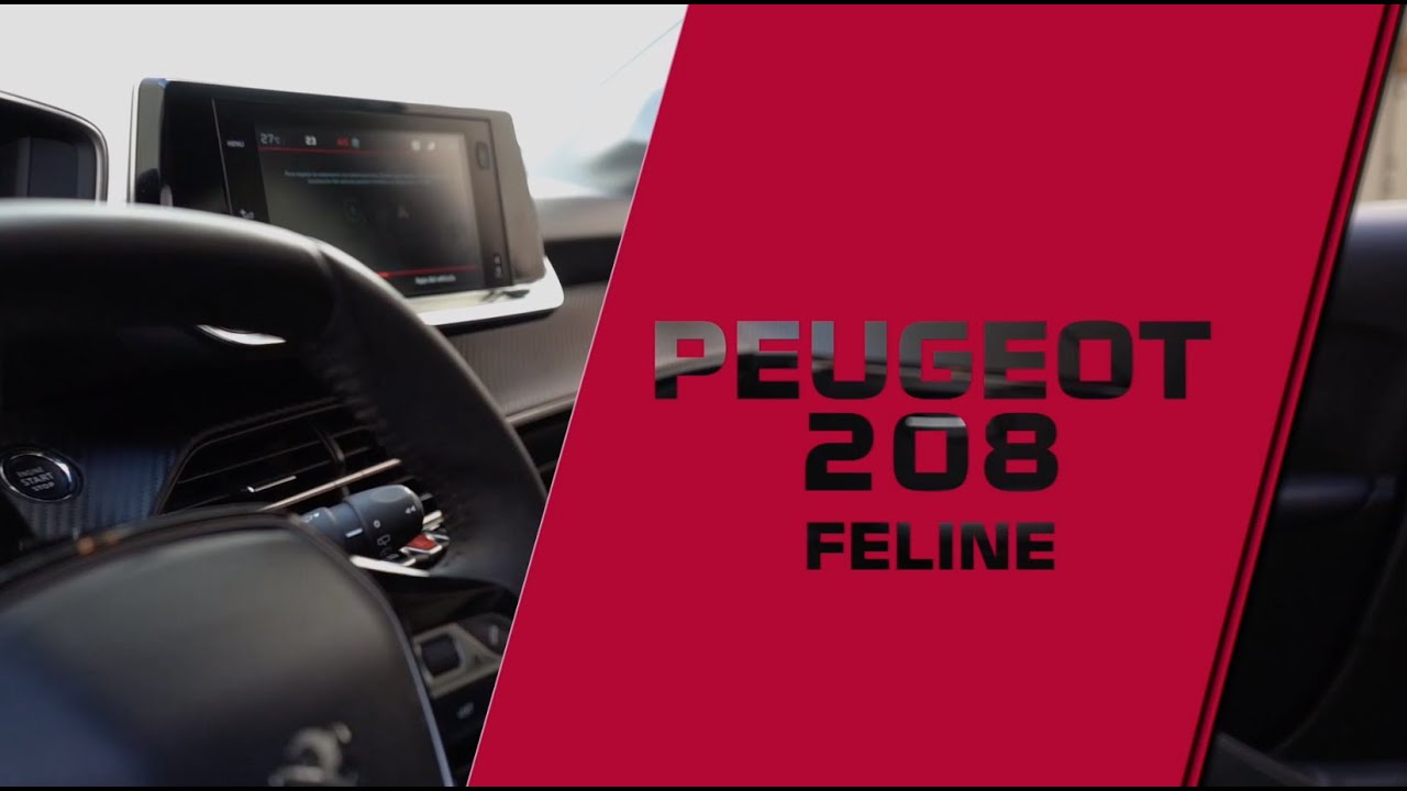 Especial Peugeot 208 Feline - Parte 1