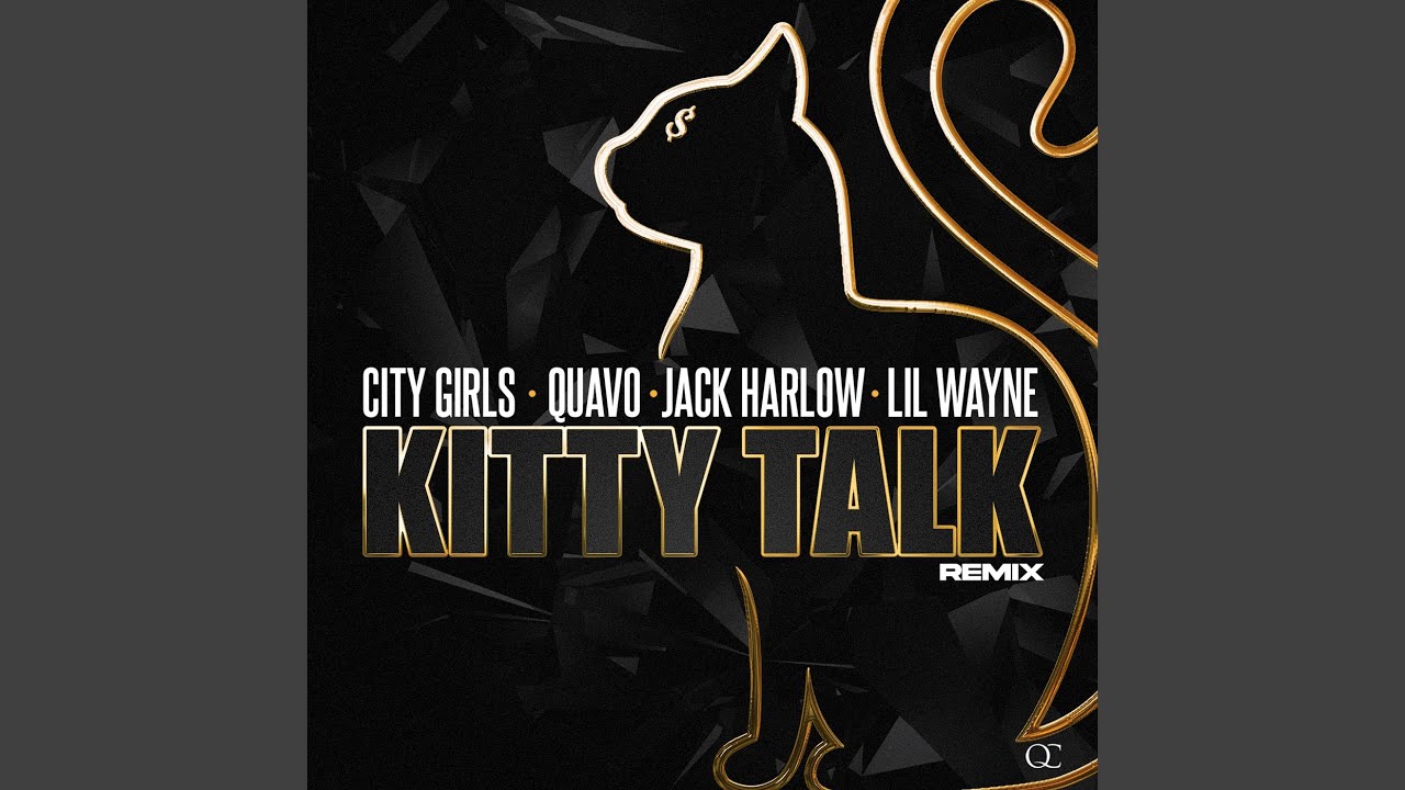 Kitty Talk (Remix)