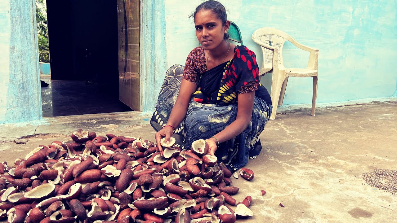 🥥சுத்தமான தேங்காய் செக்கு எண்ணெய் #coconutoil #food #tamil #villagelife #farmerlife #agriculture🥥🌿🥥🌿