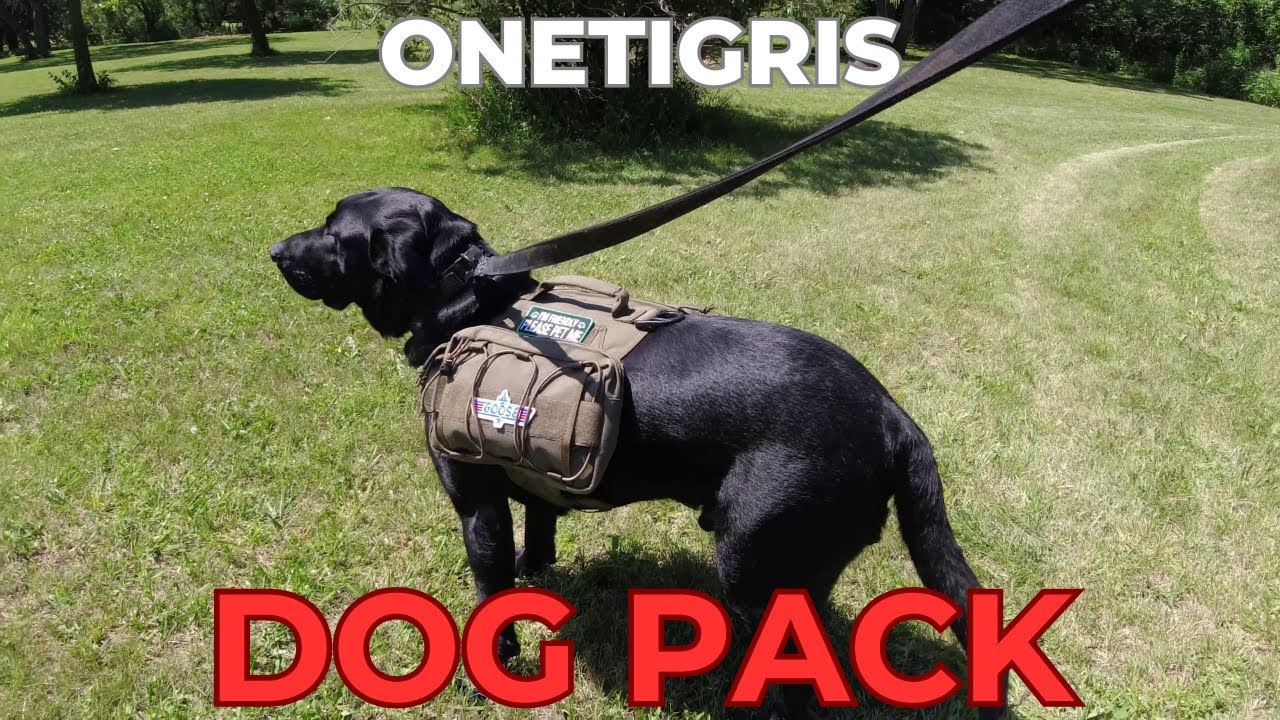 Обзор OneTigris Dog Pack — новый рюкзак от Goose!