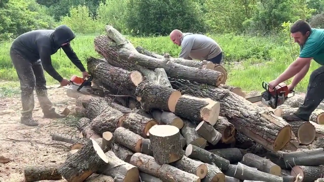 Chainsaw Beast Mode | Massive Oak